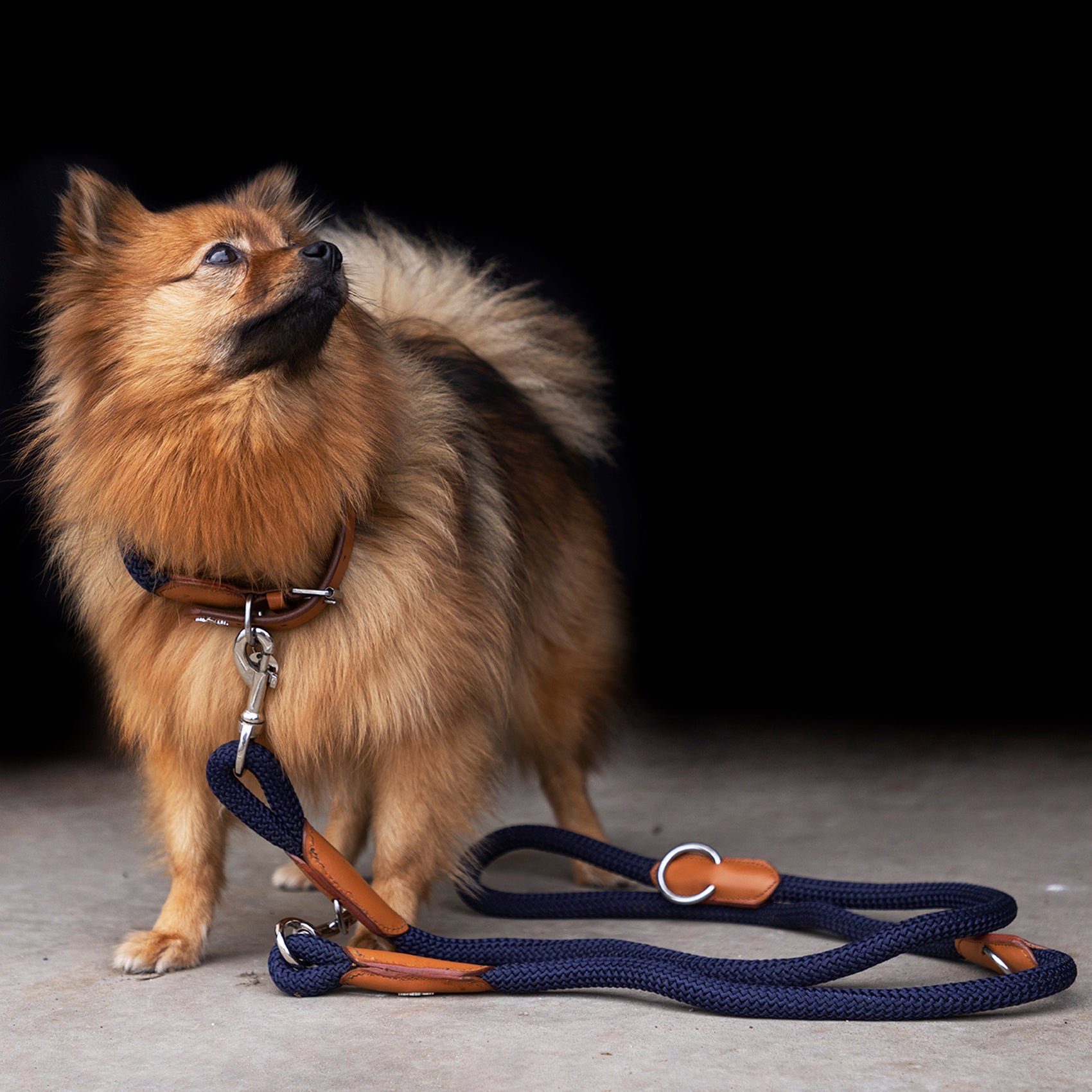 Hundeleine HVPFranka Rope