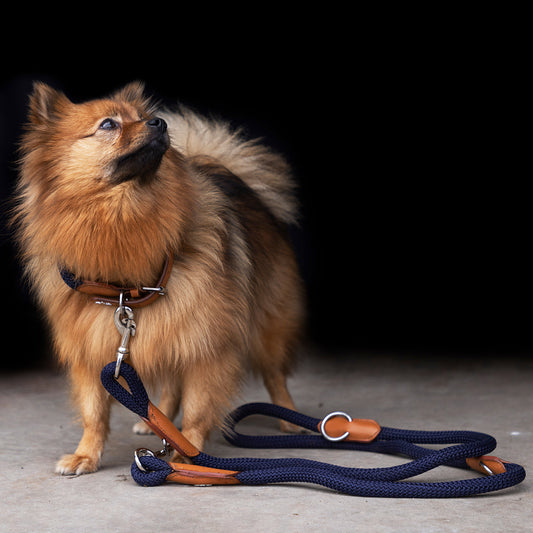 Hundeleine HVPFranka Rope