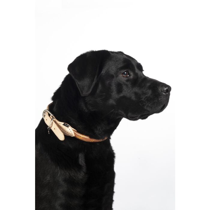 Hundehalsband -Anam Cara- Tau