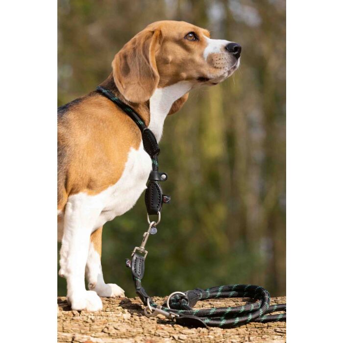 Zugstopphundehalsband -Anam Cara- Tau