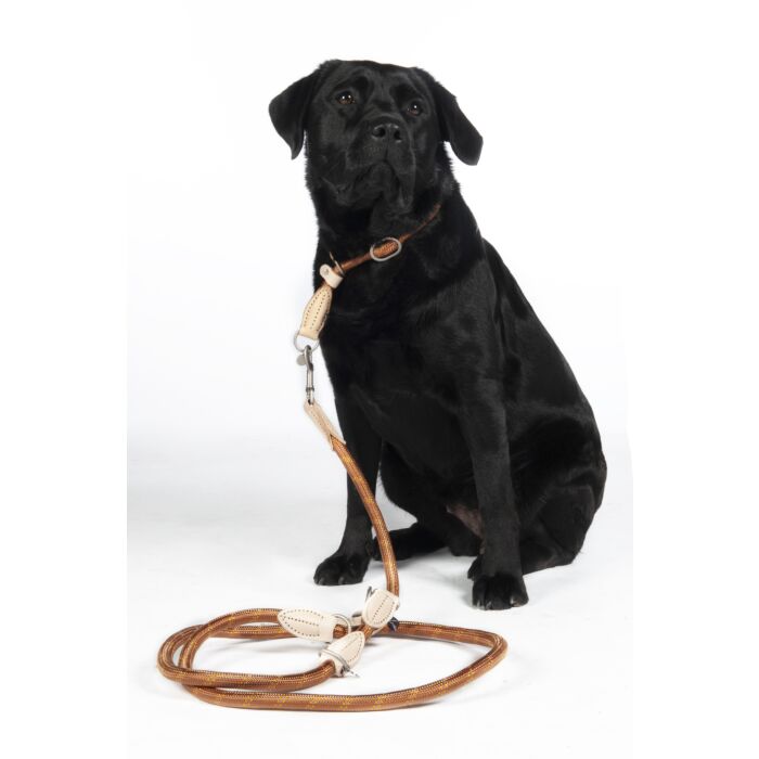 Hundetrainingsleine -Anam Cara- Tau