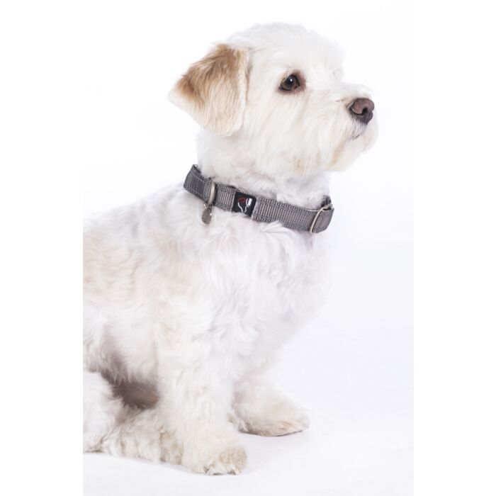 Hundehalsband -Anam Cara- Nylon
