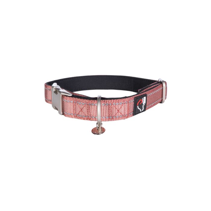 Hundehalsband -Anam Cara- Nylon