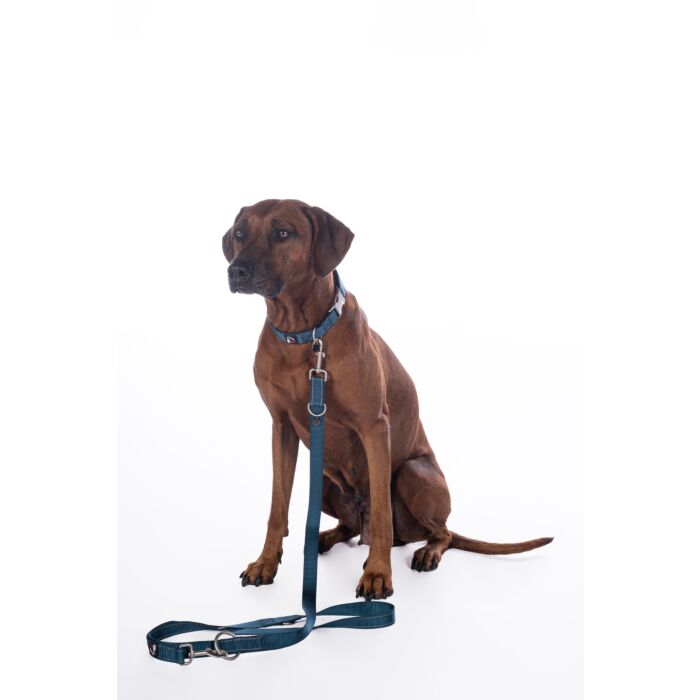 Hundetrainingsleine -Anam Cara- Nylon