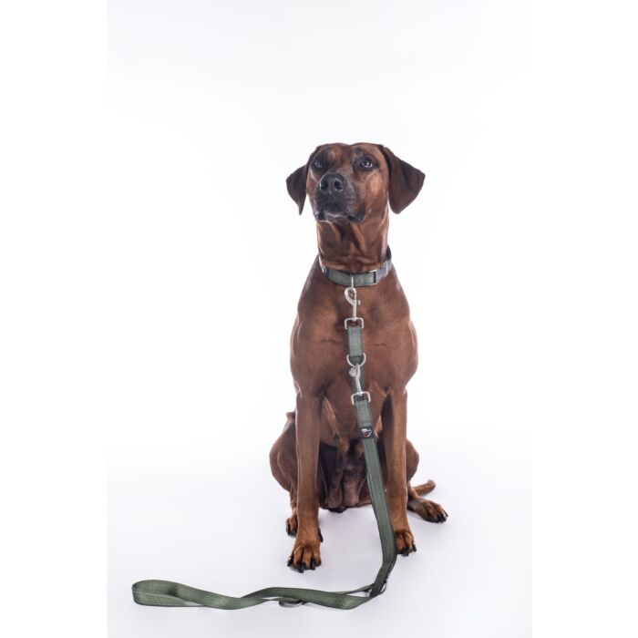 Hundetrainingsleine -Anam Cara- Nylon