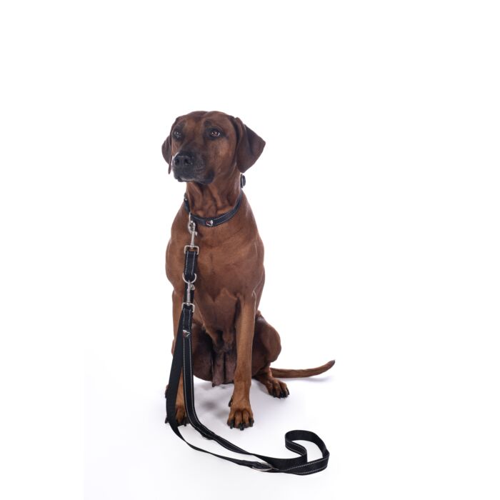 Hundetrainingsleine -Anam Cara- Nylon
