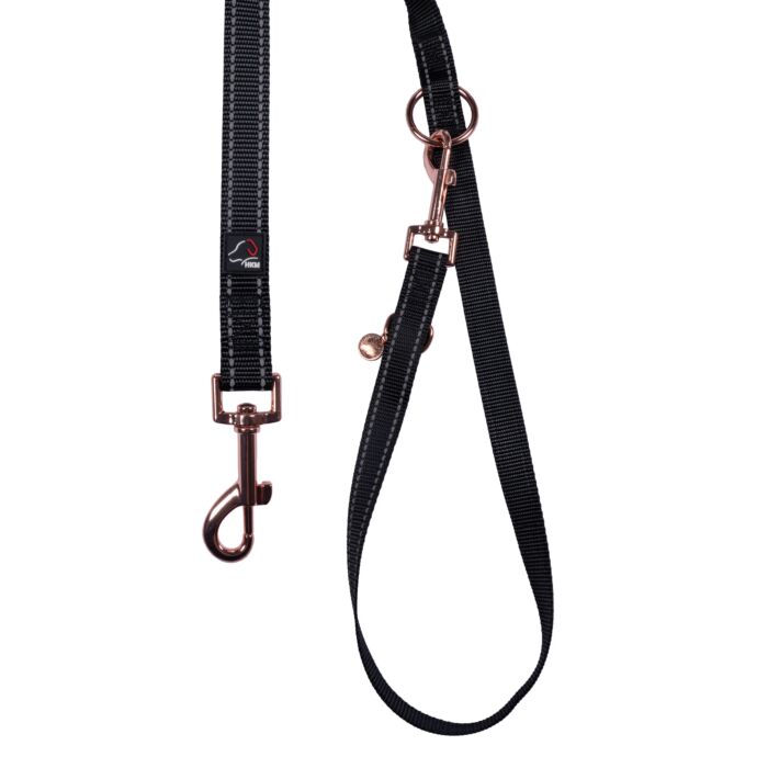 Hundetrainingsleine -Anam Cara- Nylon