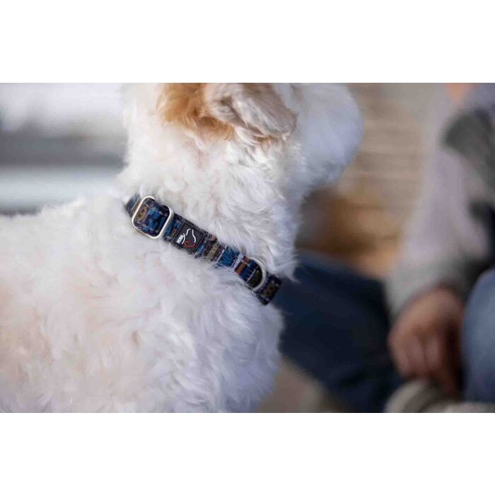 Hundehalsband -Anam Cara- bedruckt