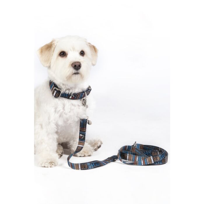 Hundetrainingsleine -Anam Cara- bedruckt