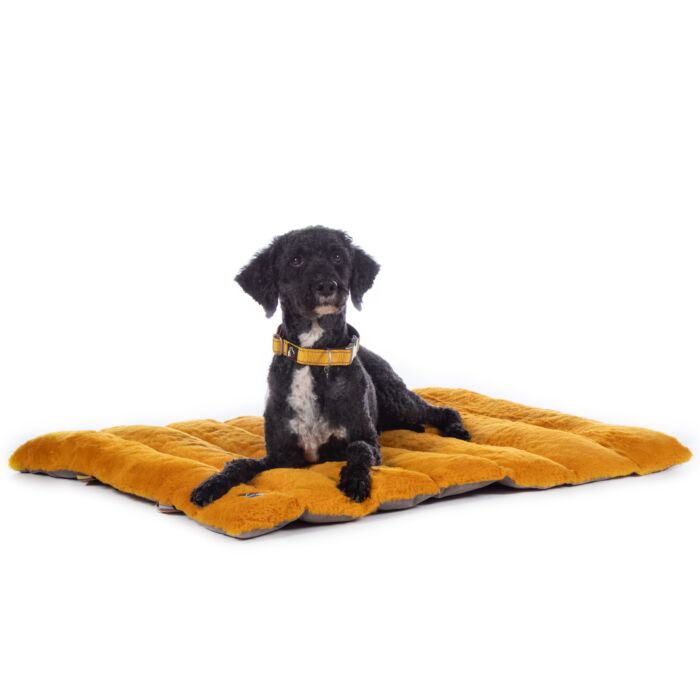 Hundedecke -Anam Cara Travel-