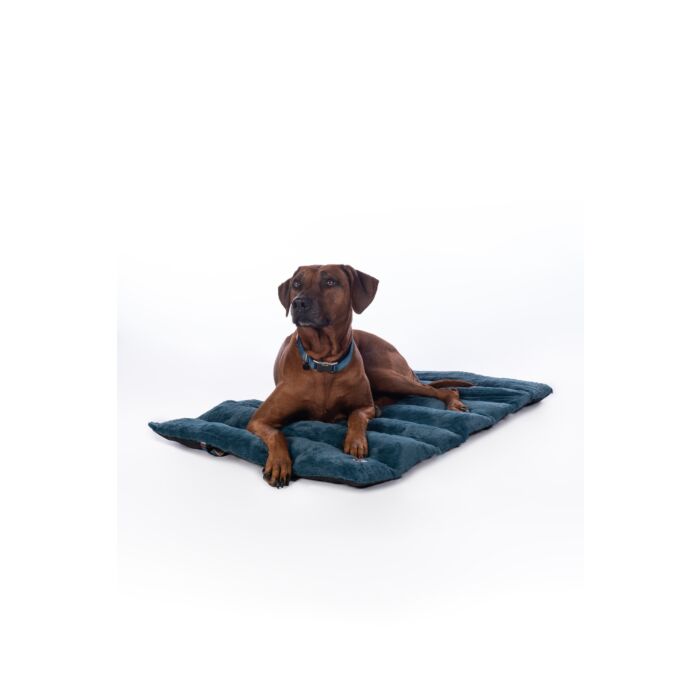 Hundedecke -Anam Cara Travel-