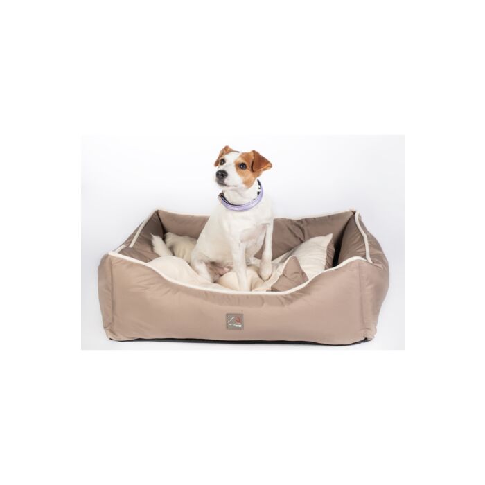 Hundebett -Amitye-