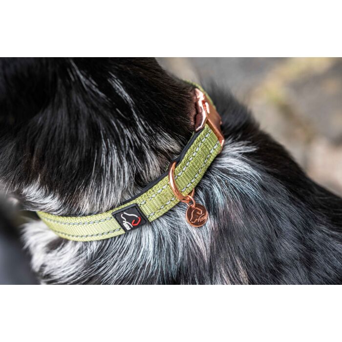 Hundehalsband -Ida- Nylon