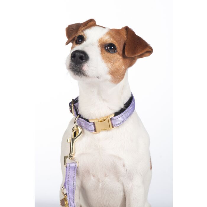Hundehalsband -Ida- Nylon