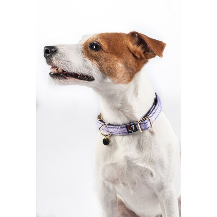 Hundehalsband -Ida- Nylon