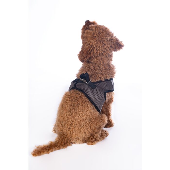 Hundegeschirr -Buddy Soft-