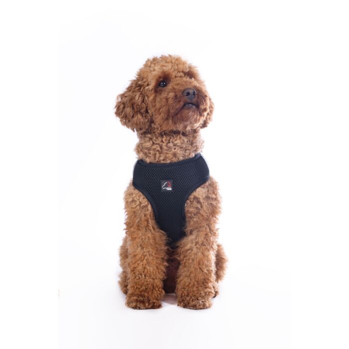 Hundegeschirr -Buddy Soft-