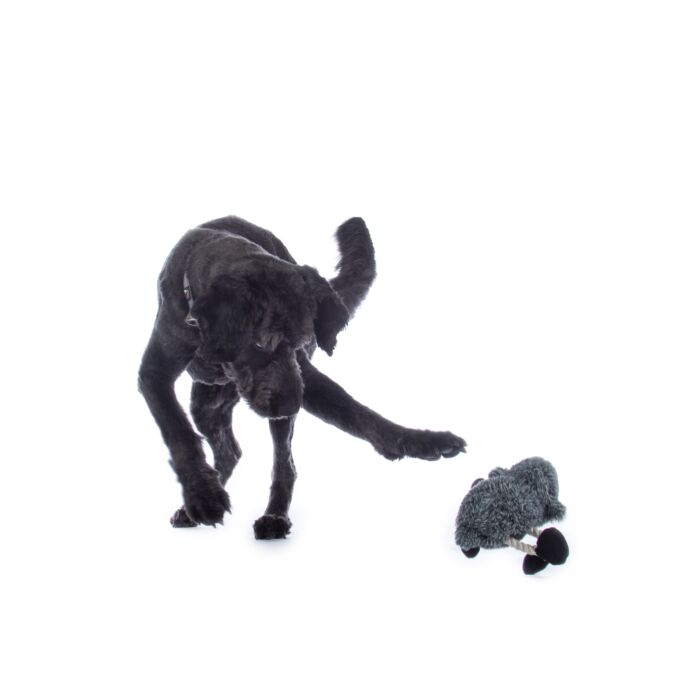 Hundespielzeug -Buddy Sheep-