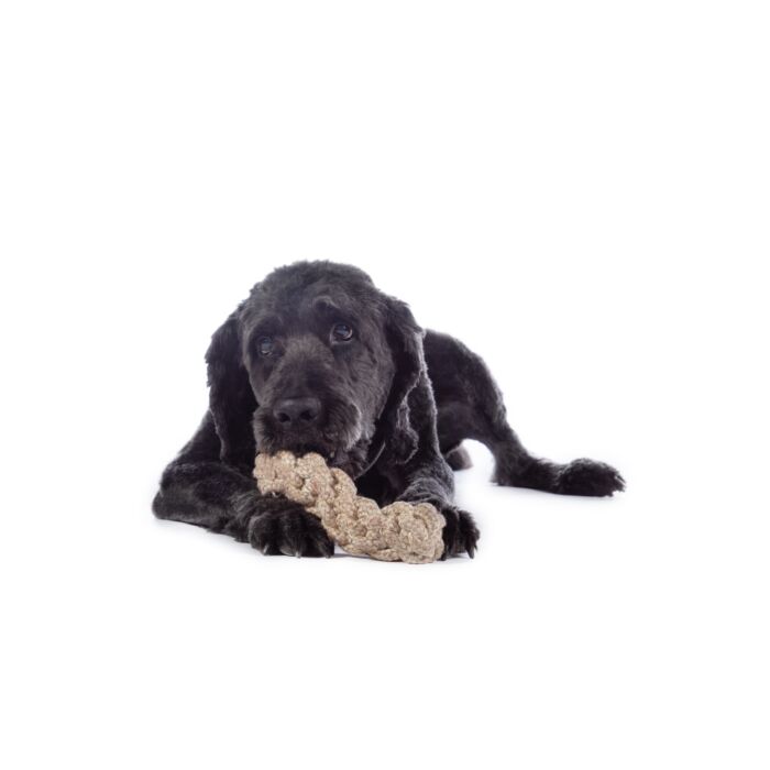 Hundespielzeug -Buddy Knot Bone-