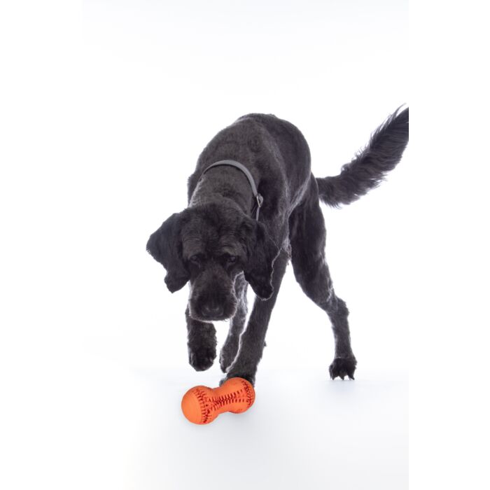 Hundespielzeug -Buddy Bone II- Naturkautschuk