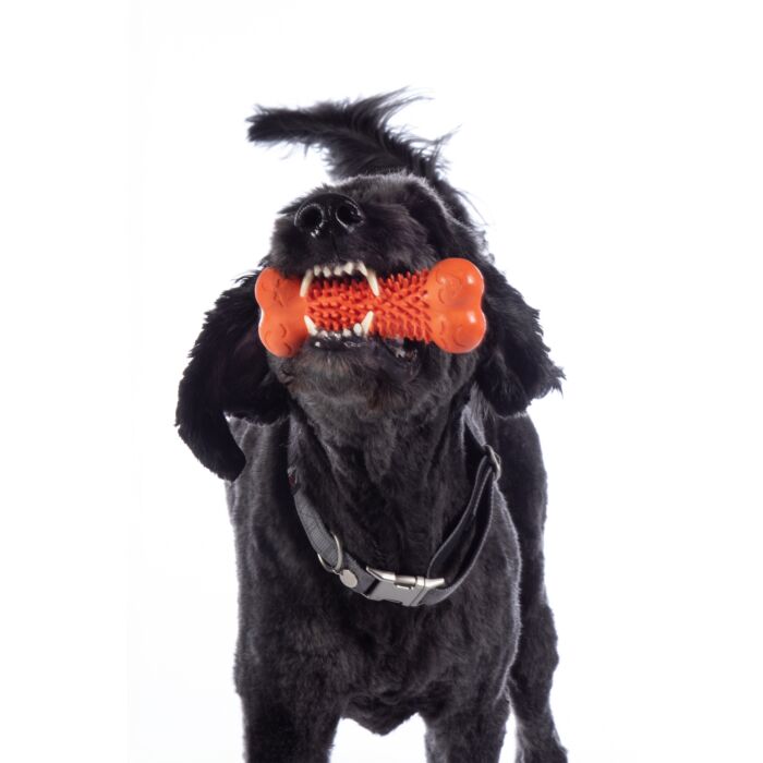 Hundespielzeug -Buddy Bone III- Naturkautschuk