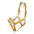 Halfter -Arezzo-