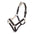 Halfter -Arezzo-