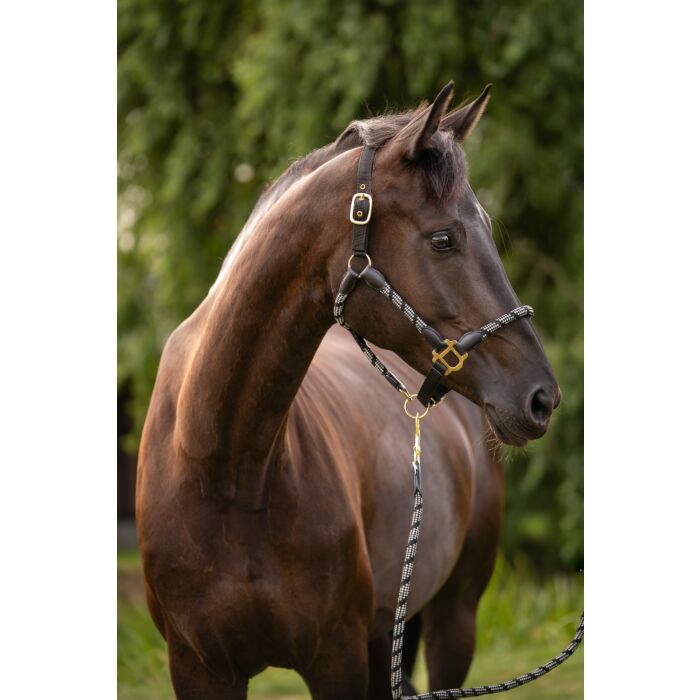 Halfter -Limone Sportive-