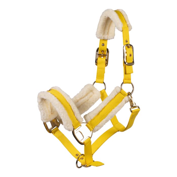 Halfter -Limone Elegant-