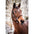 Halfter -NeonFlash-