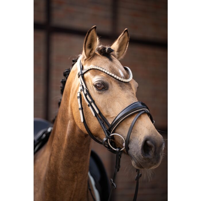 Trense -Limone Elegant-