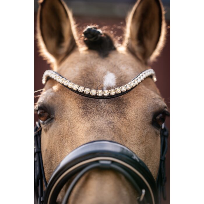 Trense -Limone Elegant-
