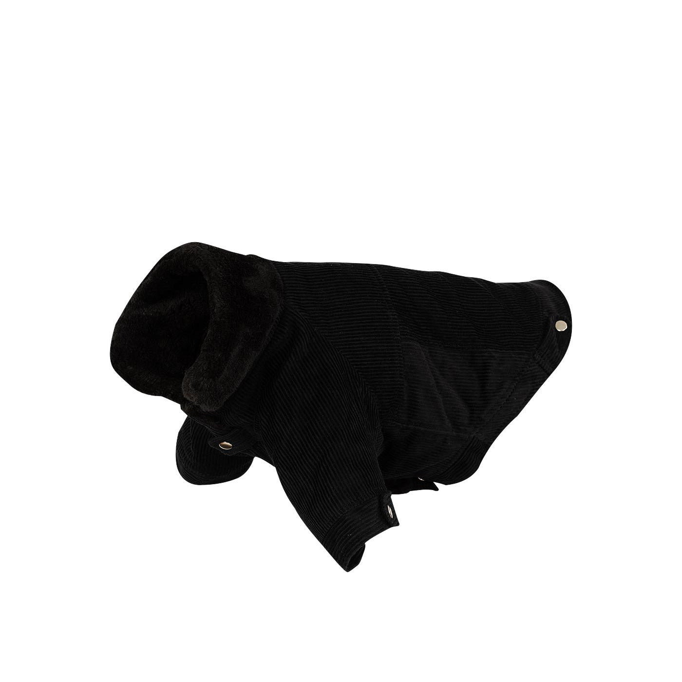 BR Hundejacke