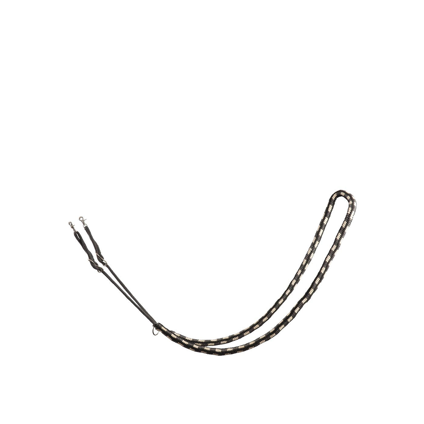 BR Longierhilfe