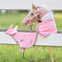 Hobby Horse Fliegenhaube HVPRuby