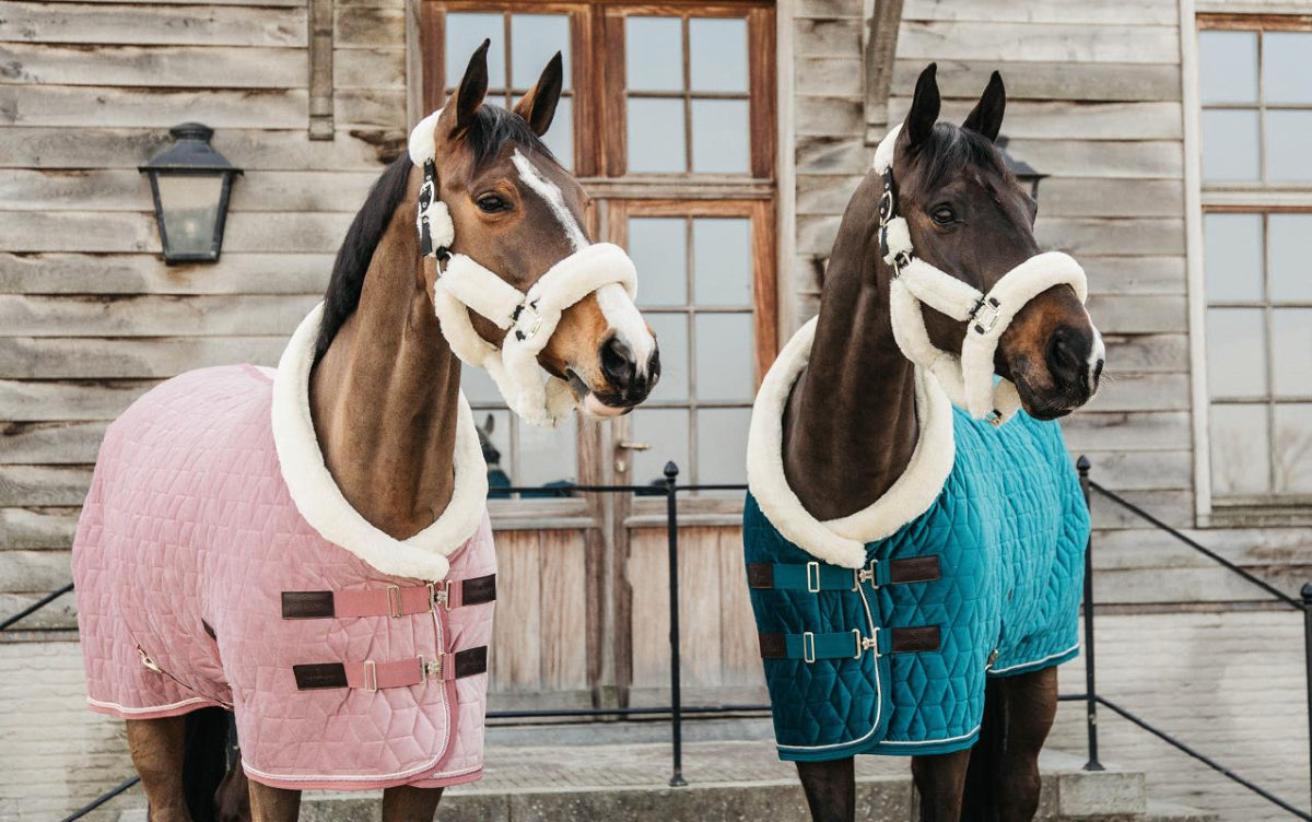 Kentucky Horsewear steht für hochwertige, funktionale und stilvolle Reitsportartikel für Pferd und Reiter.