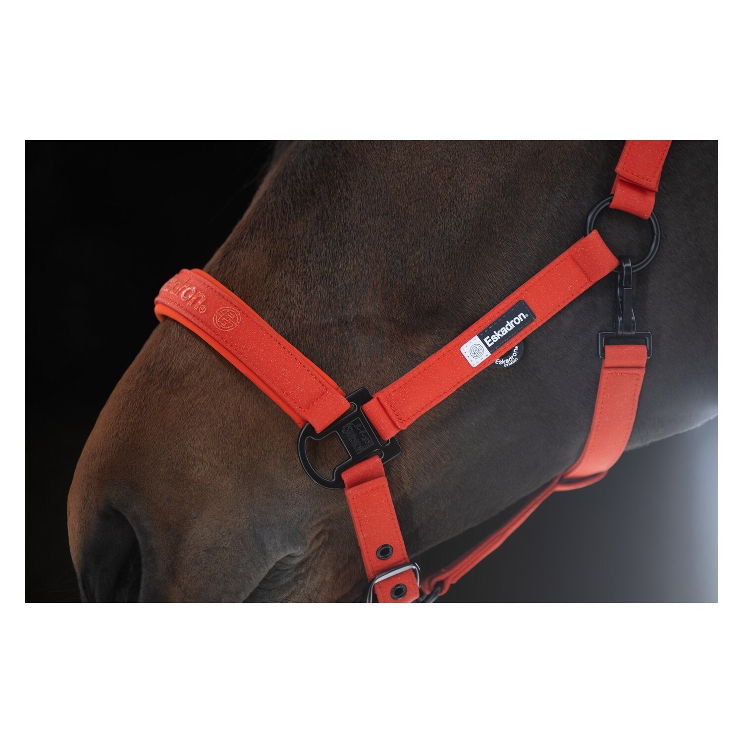 ESKADRON Dynamic Halfter Sparkle Double Pin