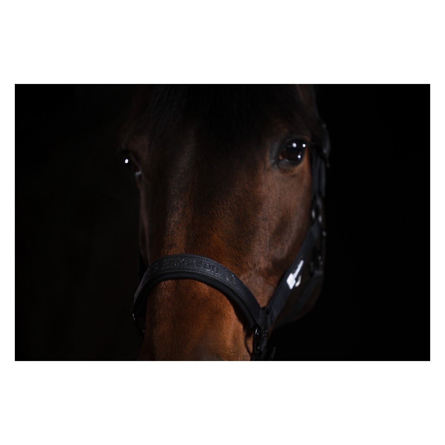 ESKADRON Dynamic Halfter Sparkle Double Pin