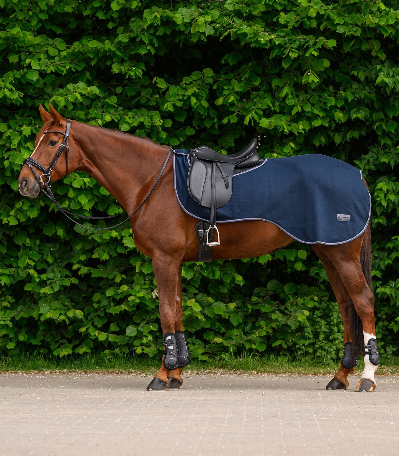 ECONOMIC Fleece-Ausreitdecke