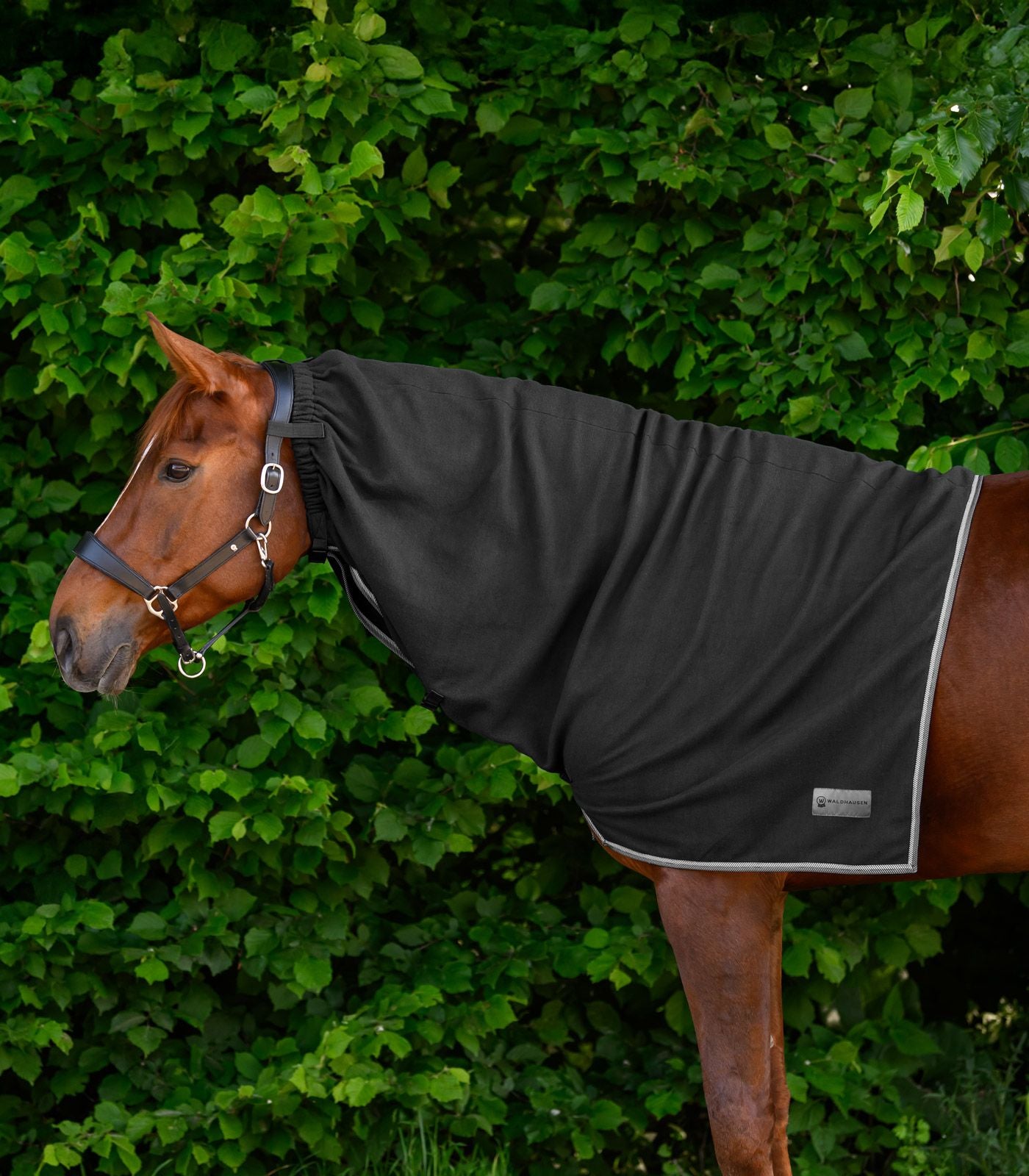 ECONOMIC Fleece-Halsdecke