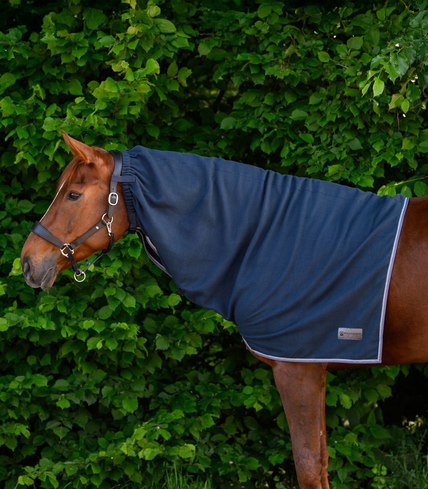 ECONOMIC Fleece-Halsdecke