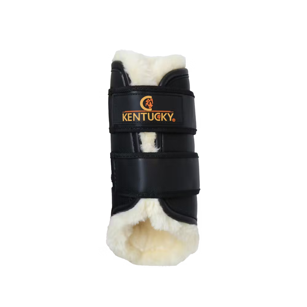 Brushing Boots Leather Front