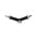Longierbrille - Nylon -