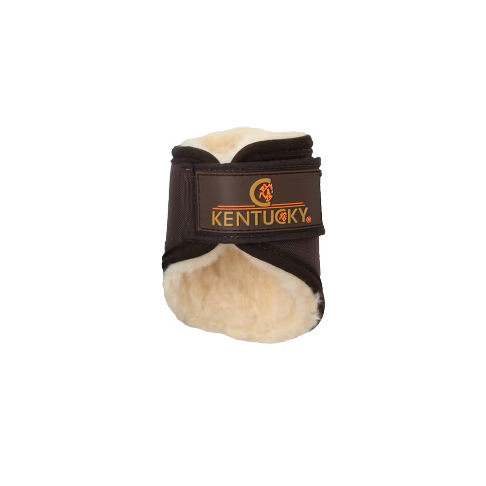 Brushing Boots Solimbra Hind Short