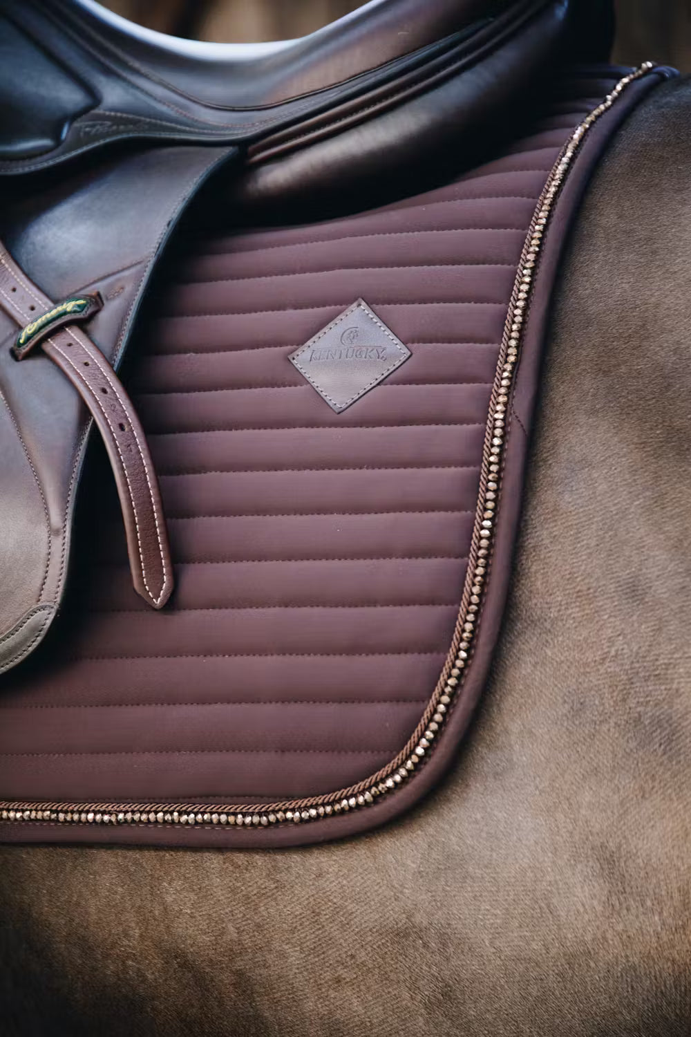 Schabracke Pearls Dressur