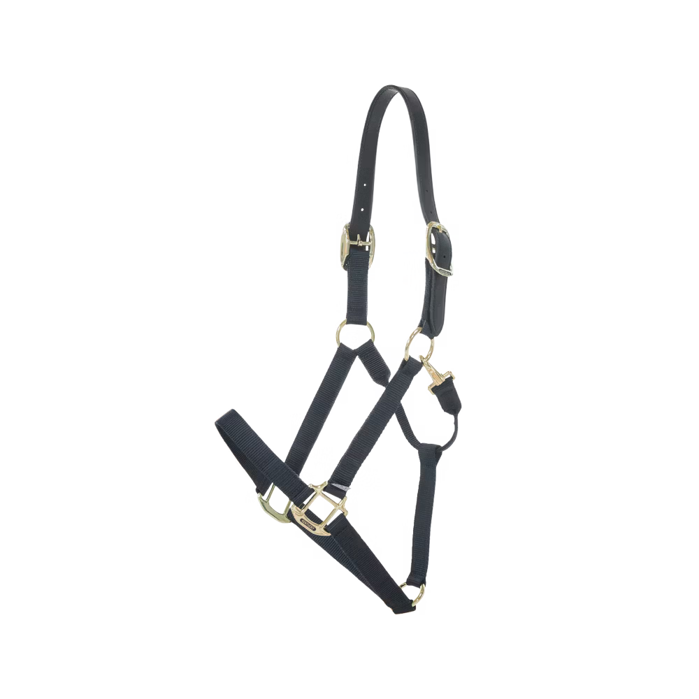 Nylon Halfter Breakaway