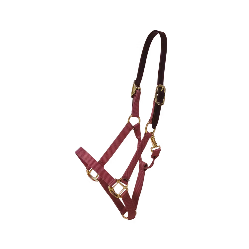 Nylon Halfter Breakaway