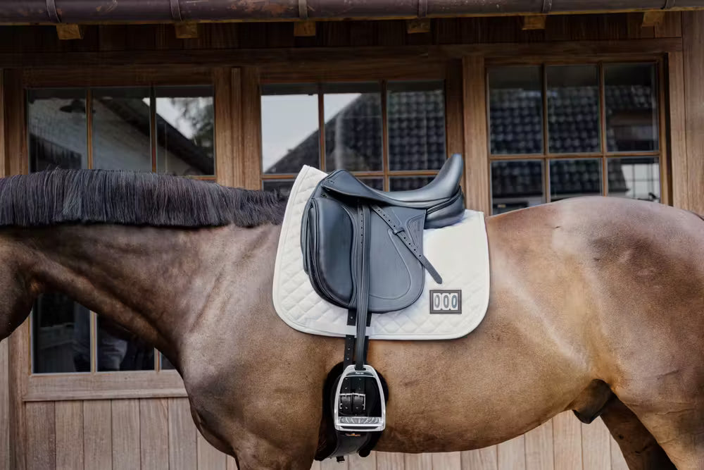 Schabracke Diamond Turnier mit 2 Startummern