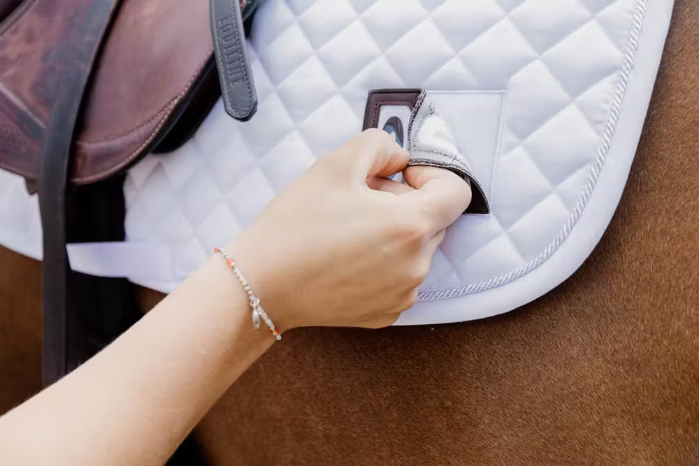 Schabracke Diamond Turnier mit 2 Startummern