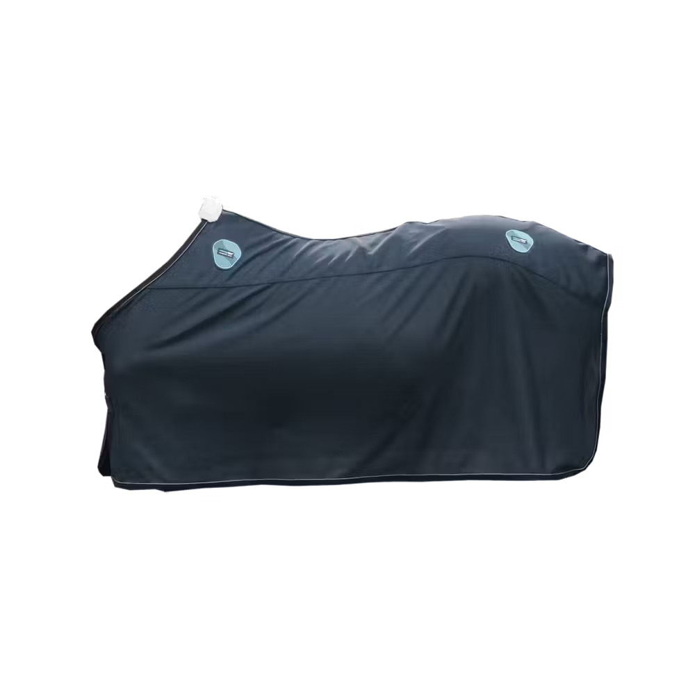 Magnetic Rug Recuptex